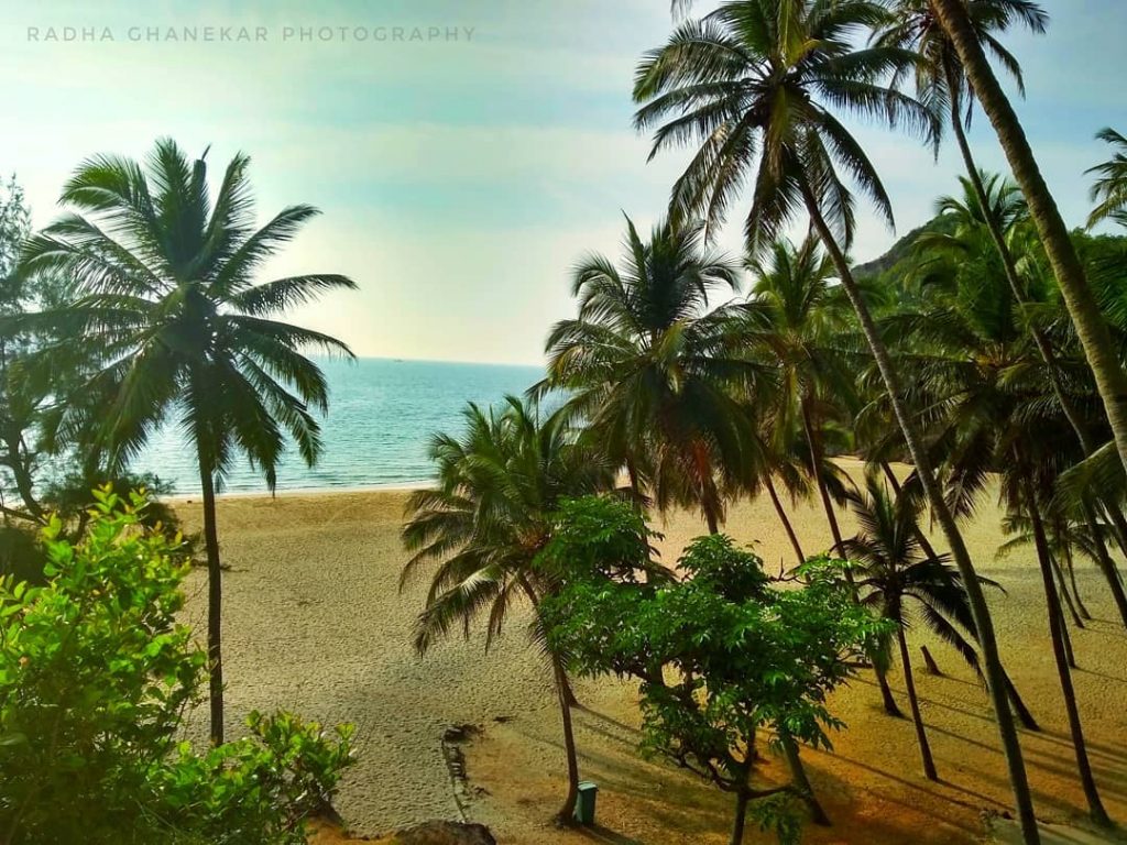 #wanderlust #goa #travelphotography #exploretocreate #travelblog #travelbug #explore #beautifuldestinations #beachlife #exploremore #travel #neverstopexploring #view #picoftheday&hellip;