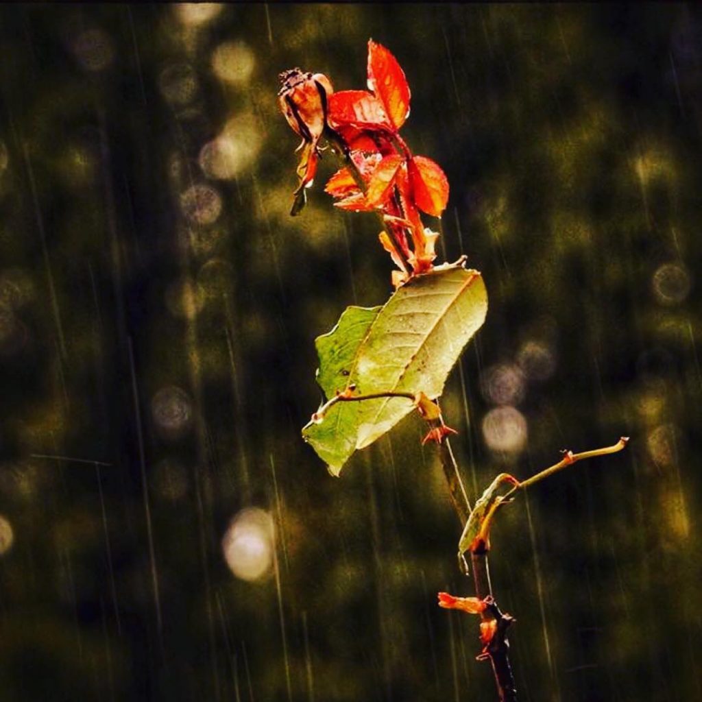 #fotartplgz #traveldestinations_ig #bnesimppl #pioggia Edited with: @carbonblackandwhite _ #weather #skylovers #natureporn #amazing #skypainters #gf_daily&hellip;