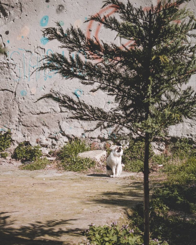 travel #traveling #traveler #travelgram #travelphoto #travelholic #backpacker #photography #canon #bnesimppl #여행 #여행사진 #여행에미치다 #여행스타그램&hellip;