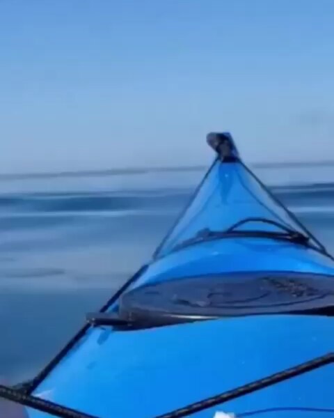 Emprende . . ● Para más info por privado ● . _________________________________ #viajar #libertad&hellip;