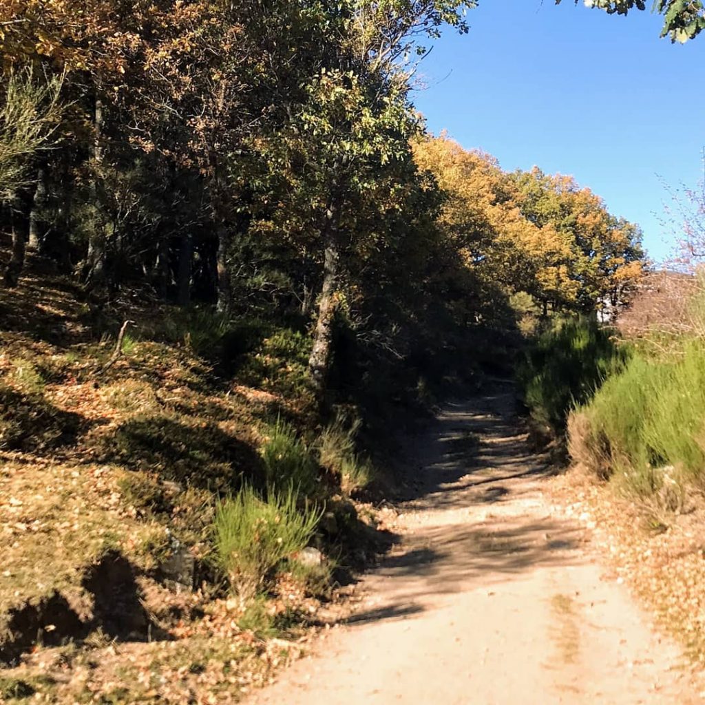 Tejeda de Tosande, Cervera de Pisuerga (Palencia) #photography #photo #travelgram #insta #natgeo #bnesimppl #discoverychannel&hellip;