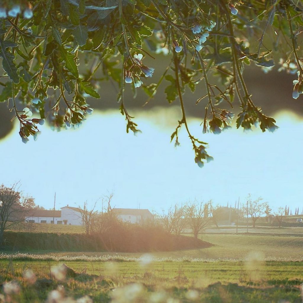 Qué hipócrita la vida, cuando lo único que te exige en sus inicios es&hellip;