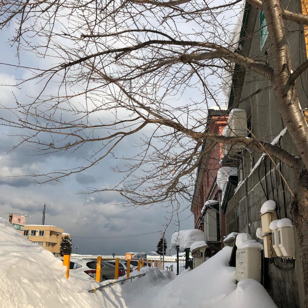Otaru canal and surrounding areas from the morning till night. It was snowy all&hellip;