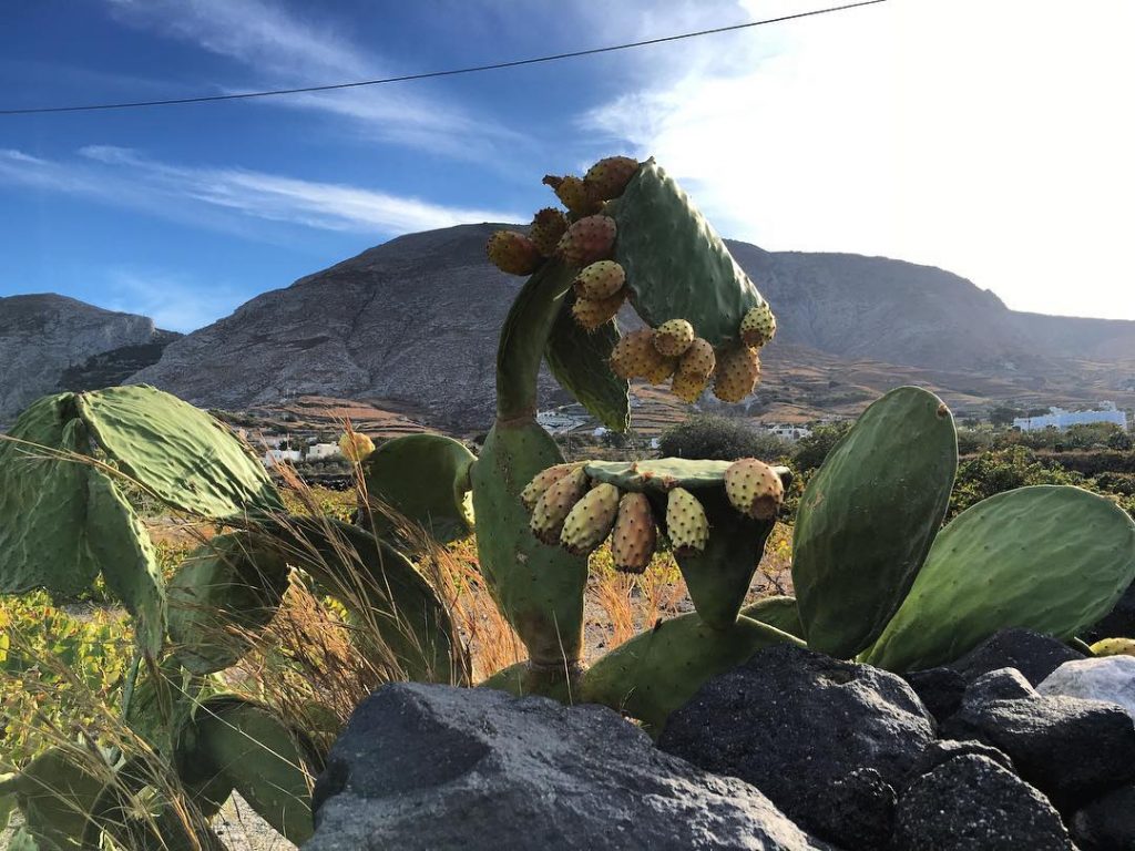 ⭕️We live in a wonderful world that is full of beauty, charm and adventure.&hellip;