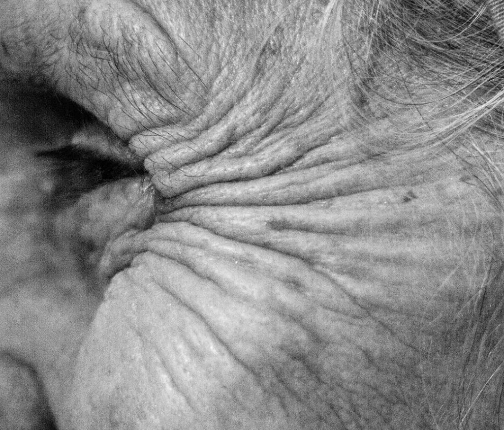 One from the ‘Body Geometry’ series ____ #bwphotooftheday #bw #bnesimppl #wrinkles #old #woman #geometry&hellip;