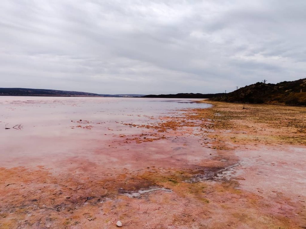 Oooh ich liebe diese #pinklake . Aufgrund von Algen und Bakterien bekommt dieser See&hellip;