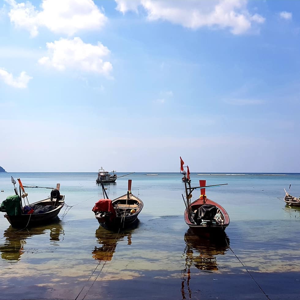 The northern end of Nai Yang beach is part of Sirinath National Park and&hellip;