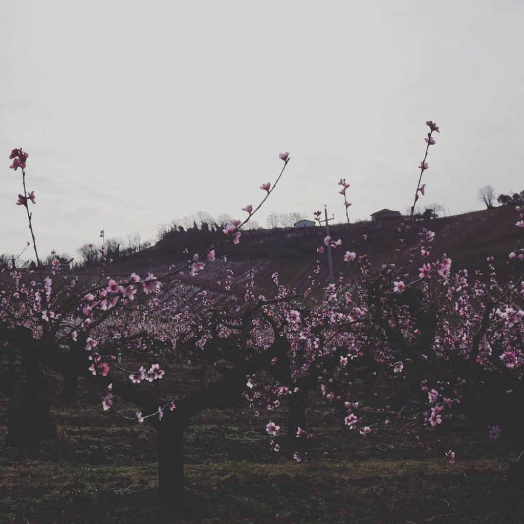 #discoveryourplanet #corsofotografico @solo_traveling #scenes_from_beautiful_cities #piclyphotography #photographerfocus #traveldestinations_ig #earthescope #travel #digitalnomad #thejetlagjunkie #travelldevill #globewandererrepost #travellingourplanet&hellip;