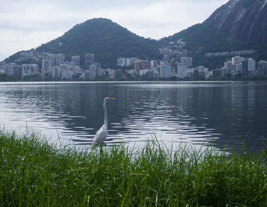 Trying to cope with this breathtaking view at Lagoa Rodrigo de Freitas. #riodejaneiro #lagoa&hellip;