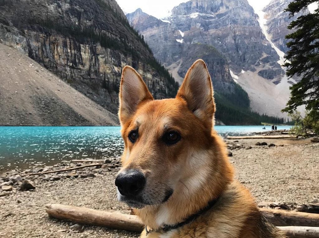 Favourite family member ????‍️