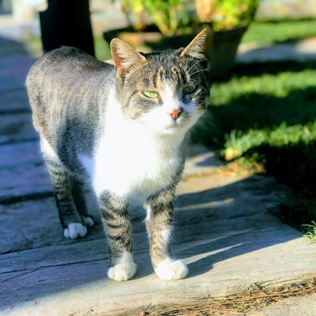 O kadar hoşlanmadı ki onu çekme fikrimden ne kadar uğraştıysam şundan ileri gidemedim. Ama&hellip;