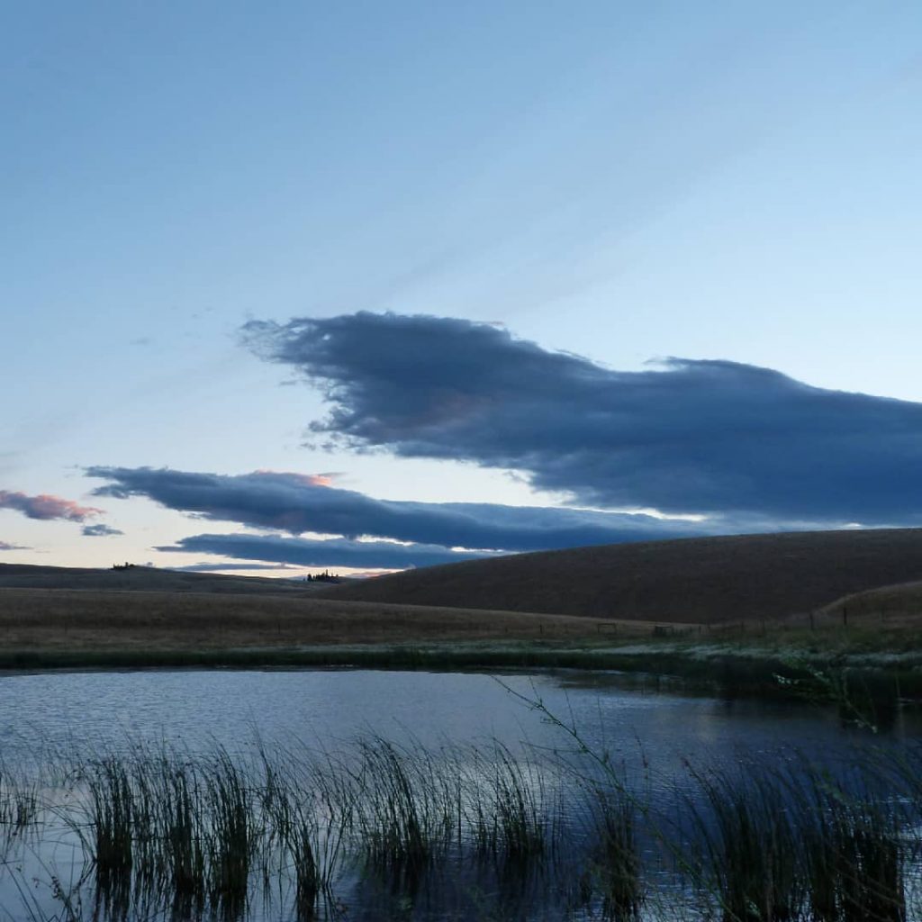Ranch country . . . . . . #openmyworld #meanwhileincanada #travelblogger #travelgram #vacationmode #travelbloggerlife&hellip;