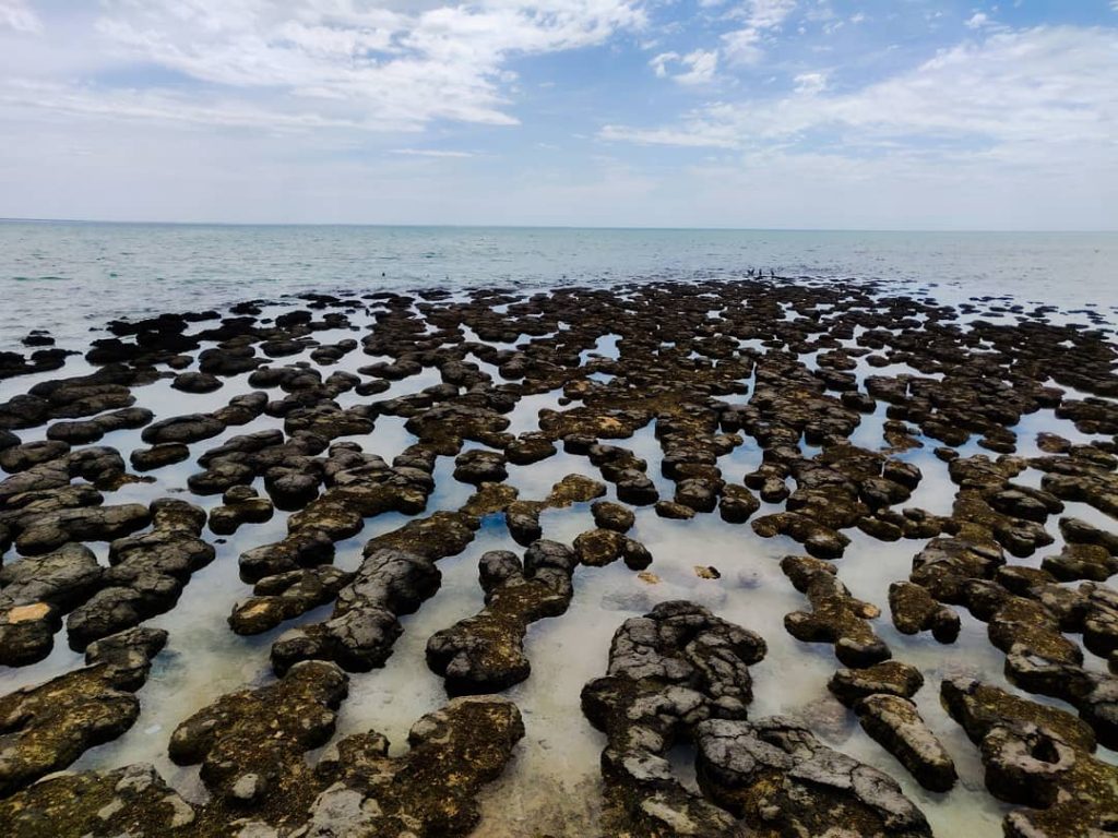 Es sieht aus wie ein paar Steine die aus dem Wasser ragen. Dahinter steckt&hellip;