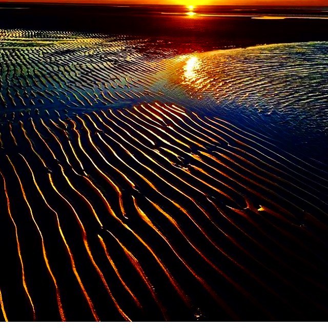 “dive into a sea of colors” . #earthscope #northsea #sunset #evening #walk #walking #beachwalk…