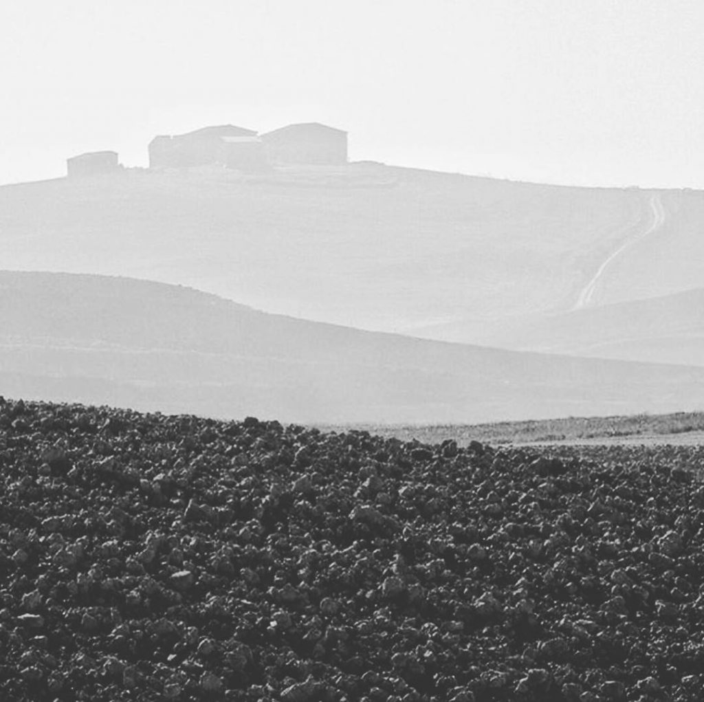 #fotartplgz #traveldestinations_ig #bnesimppl Edited with: @carbonblackandwhite _ #landscape #amazing #view #trip #tree #sky #mountains&hellip;