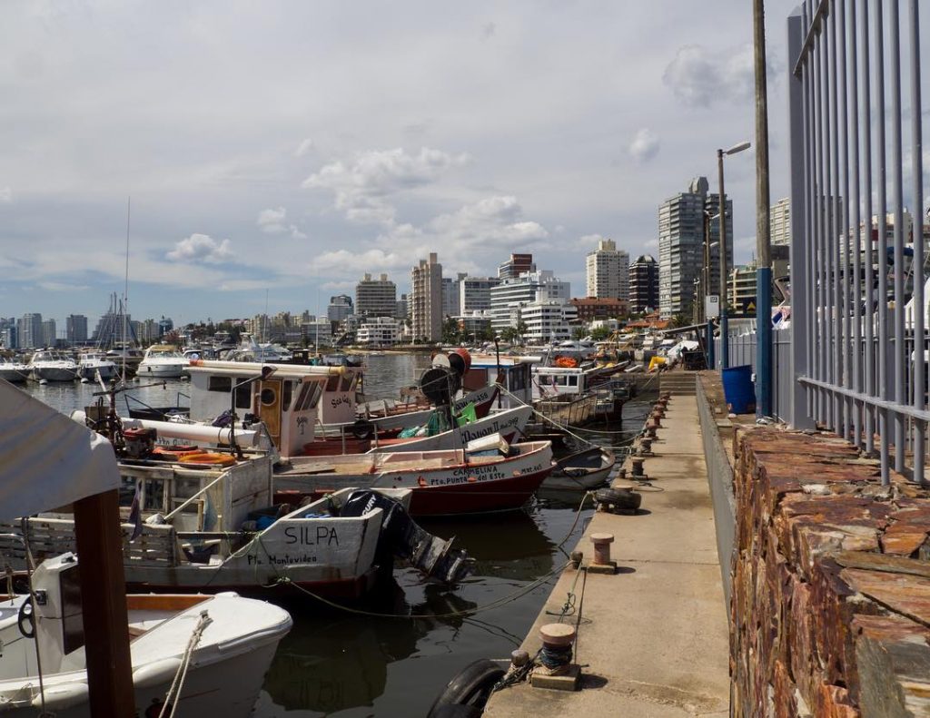 Lift the anchor and set sail! I am craving for fresh #puntadeleste #sea #uruguay…