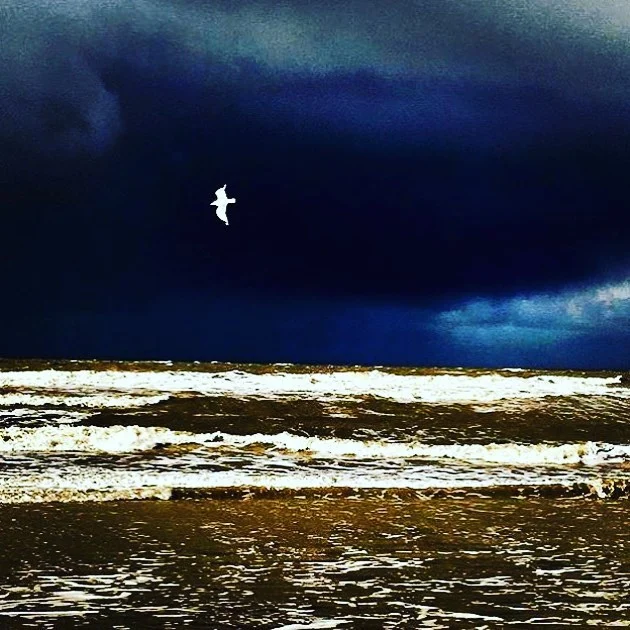 “stormy sea” . #northsea #storm #wilderness #walk #walking #beachwalk #hike #hiking #hikingadventures #travel #travelphotography&hellip;
