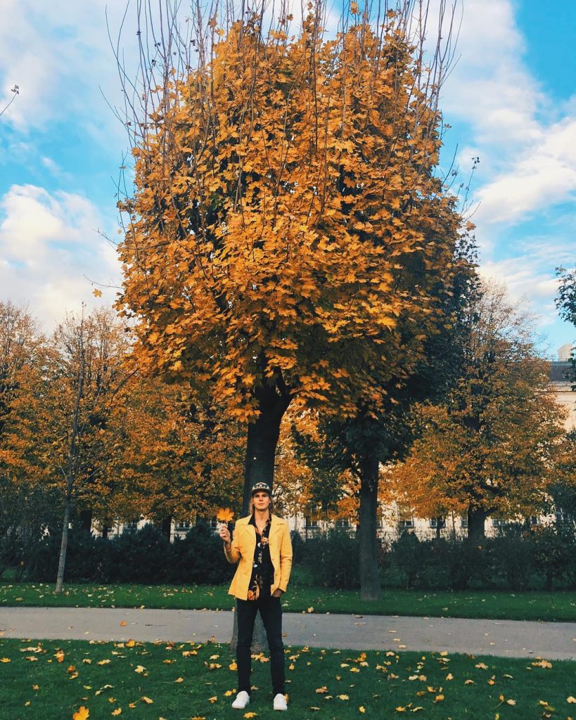 “Leave no leaf unturned when traveling” exploring Vienna in the fall! (link in bio)…