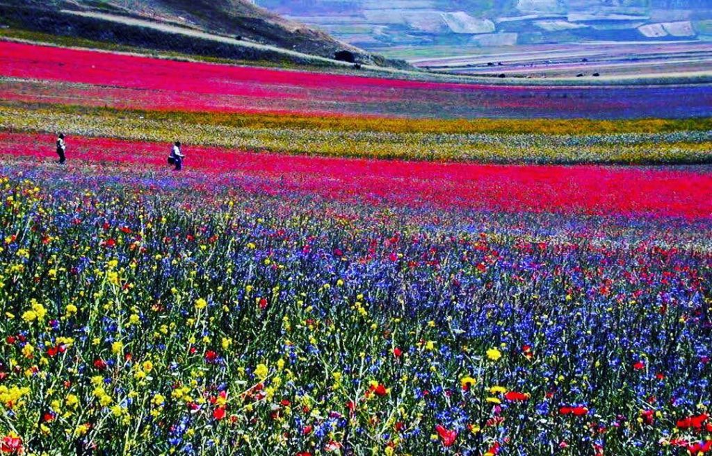 #fotartplgz #traveldestinations_ig #bnesimppl #fioritura Edited with: @carbonblackandwhite _ #weather #skylovers #natureporn #amazing #skypainters #gf_daily&hellip;