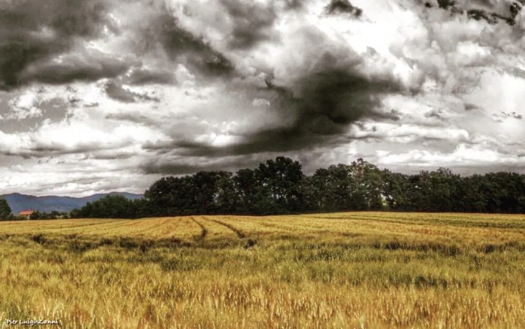 #fotartplgz #traveldestinations_ig #bnesimppl #valdichiana Edited with: @carbonblackandwhite _ #weather #skylovers #natureporn #amazing #skypainters #gf_daily&hellip;