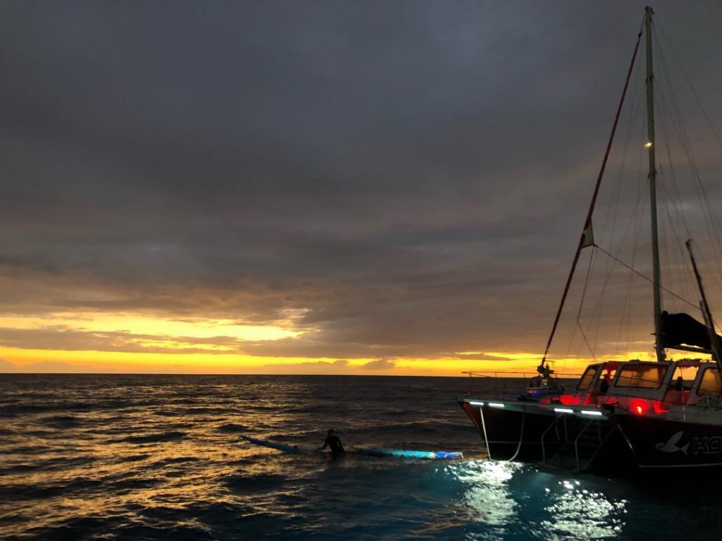 Talk about a great night to swim with the manta-rays. This was an experience&hellip;
