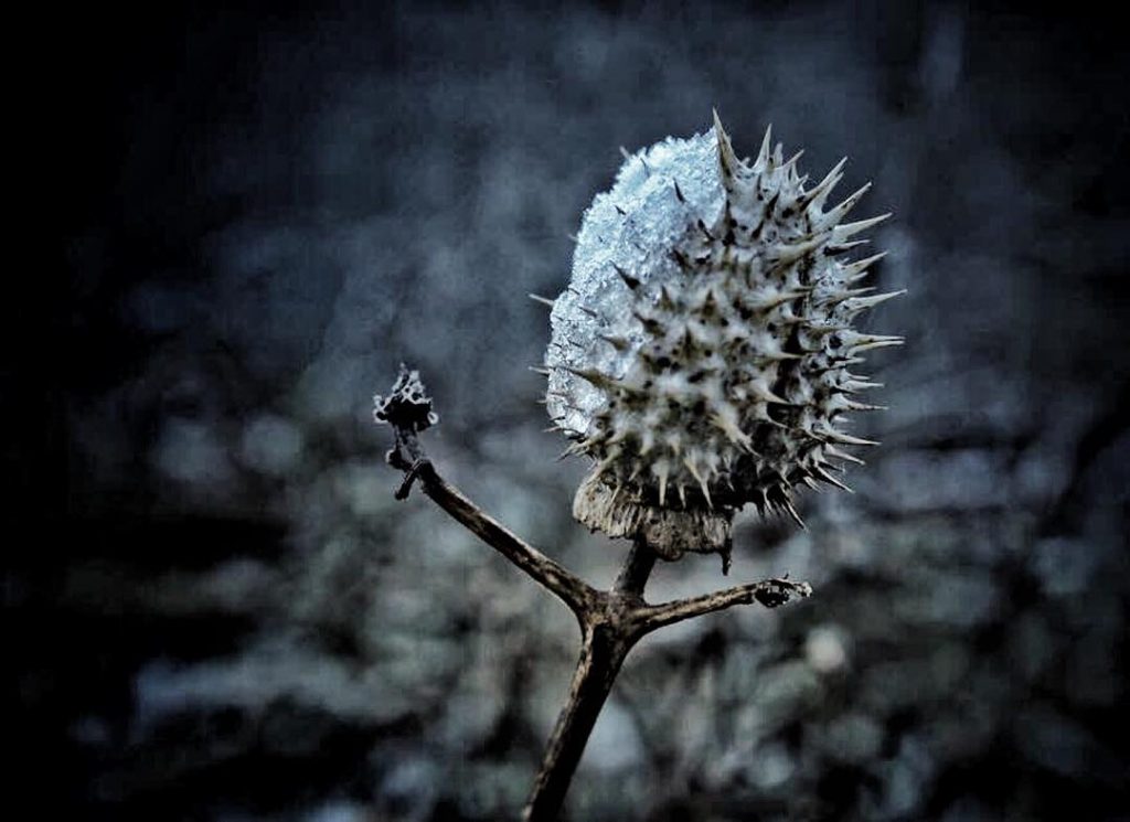 #fotartplgz #traveldestinations_ig #bnesimppl Edited with: @carbonblackandwhite _ #weather #skylovers #natureporn #amazing #skypainters #gf_daily #light&hellip;