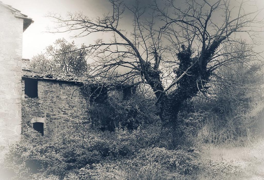 #fotartplgz #traveldestinations_ig #bnesimppl Edited with: @carbonblackandwhite _ #landscape #amazing #view #trip #tree #sky #mountains&hellip;