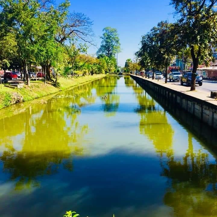 The colours in the moat around Chiang Mei Old city are immense #travel #worldwide…