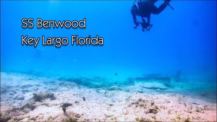 Looking for a new #diving spot in the #flkeys? Check out the SS Benwood&hellip;
