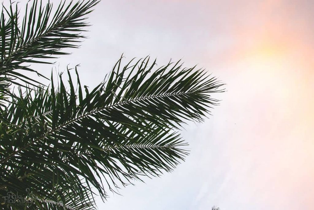 For my last share of this week, I thought to stay in the same&hellip;