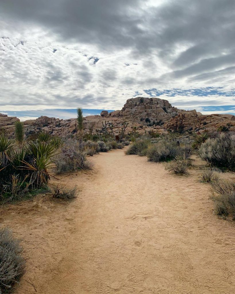 What a gift it is to travel solo, to choose who I surround myself&hellip;