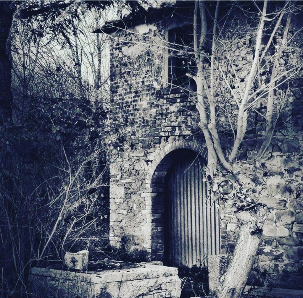 #fotartplgz #traveldestinations_ig #bnesimppl #valdichiana Edited with: @carbonblackandwhite _ #landscape #amazing #view #trip #tree #sky&hellip;