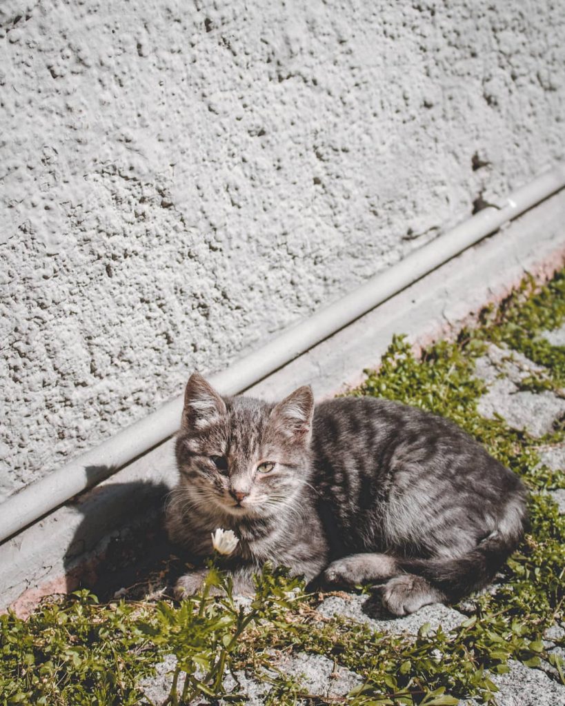 travel #traveling #traveler #travelgram #travelphoto #travelholic #backpacker #photography #canon #bnesimppl #여행 #여행사진 #여행에미치다 #여행스타그램&hellip;