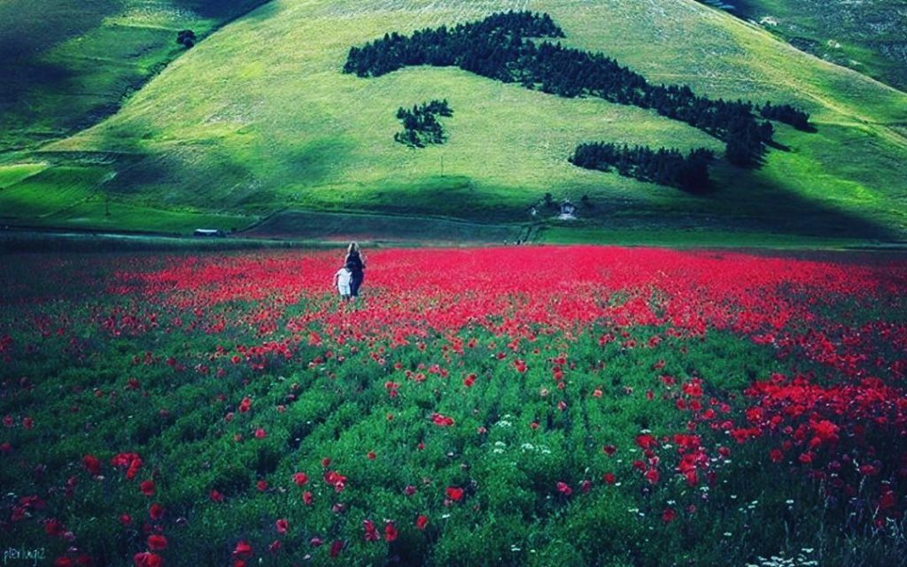 #fotartplgz #traveldestinations_ig #bnesimppl Edited with: @carbonblackandwhite _ #travel #traveling #vacation #visiting #instatravel #instago #instagood&hellip;