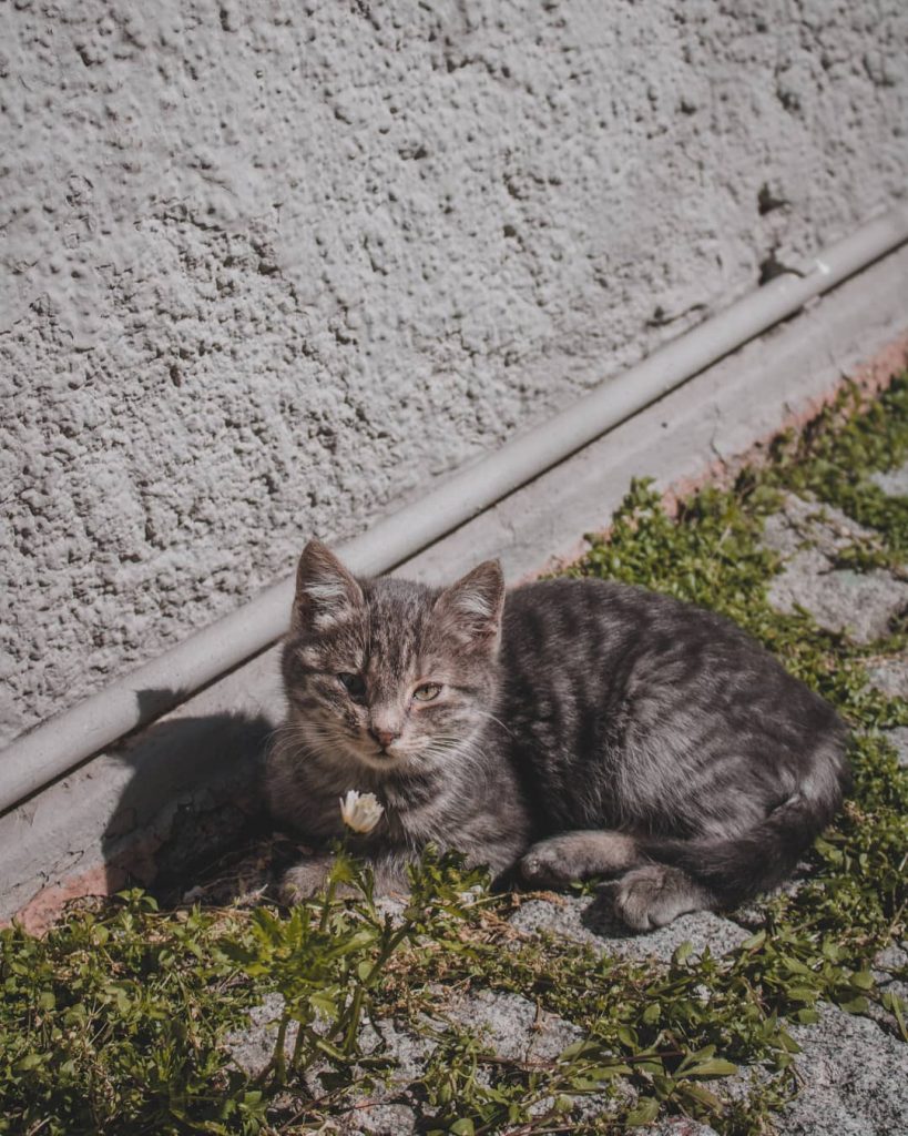 #travel #traveling #traveler #travelgram #travelphoto #travelholic #backpacker #photography #canon #bnesimppl #여행 #여행사진 #여행에미치다 #여행스타그램&hellip;