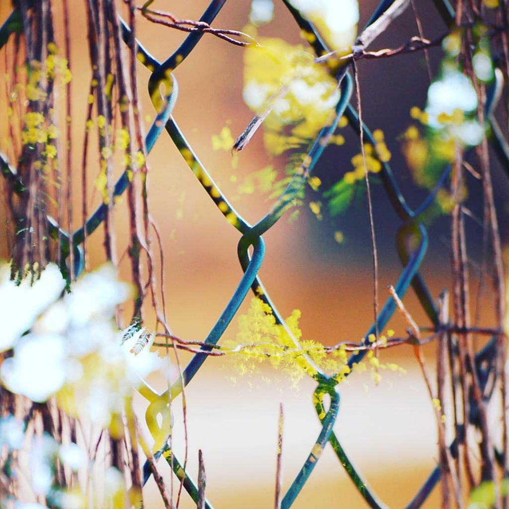 Ciertos obstáculos fingidamente sorteables convierten una distancia aparentemente corta en un perverso slalom logísticoemocional&hellip;