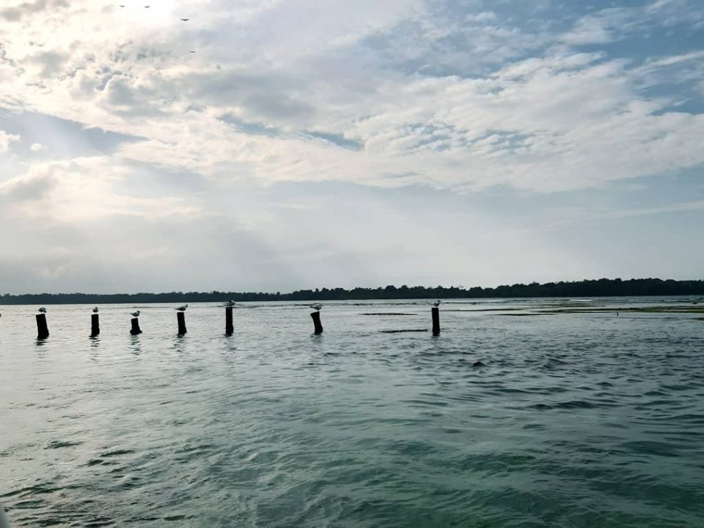 No hay mejor diseñador que la naturaleza ???????????????? #vives #nature #travelblogger #panamaturismo #like @bne_sim&hellip;