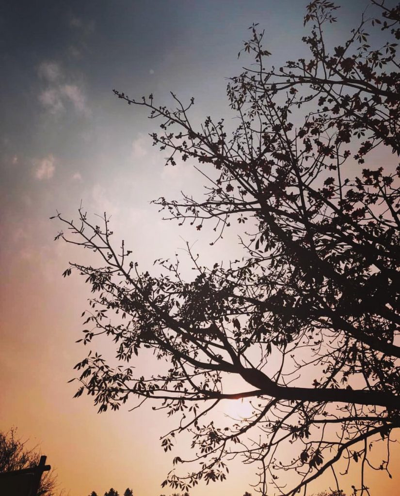 Best view to capture . . #instasun #skywatcher #thesun #blueskies #morning #clearsky #photo #picoftheday&hellip;