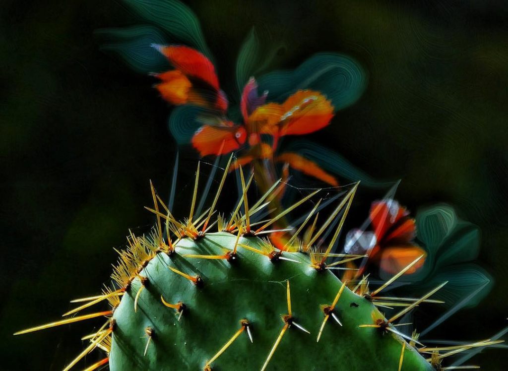#fotartplgz #traveldestinations_ig #bnesimppl Edited with: @carbonblackandwhite _ #weather #skylovers #natureporn #amazing #skypainters #gf_daily #light&hellip;