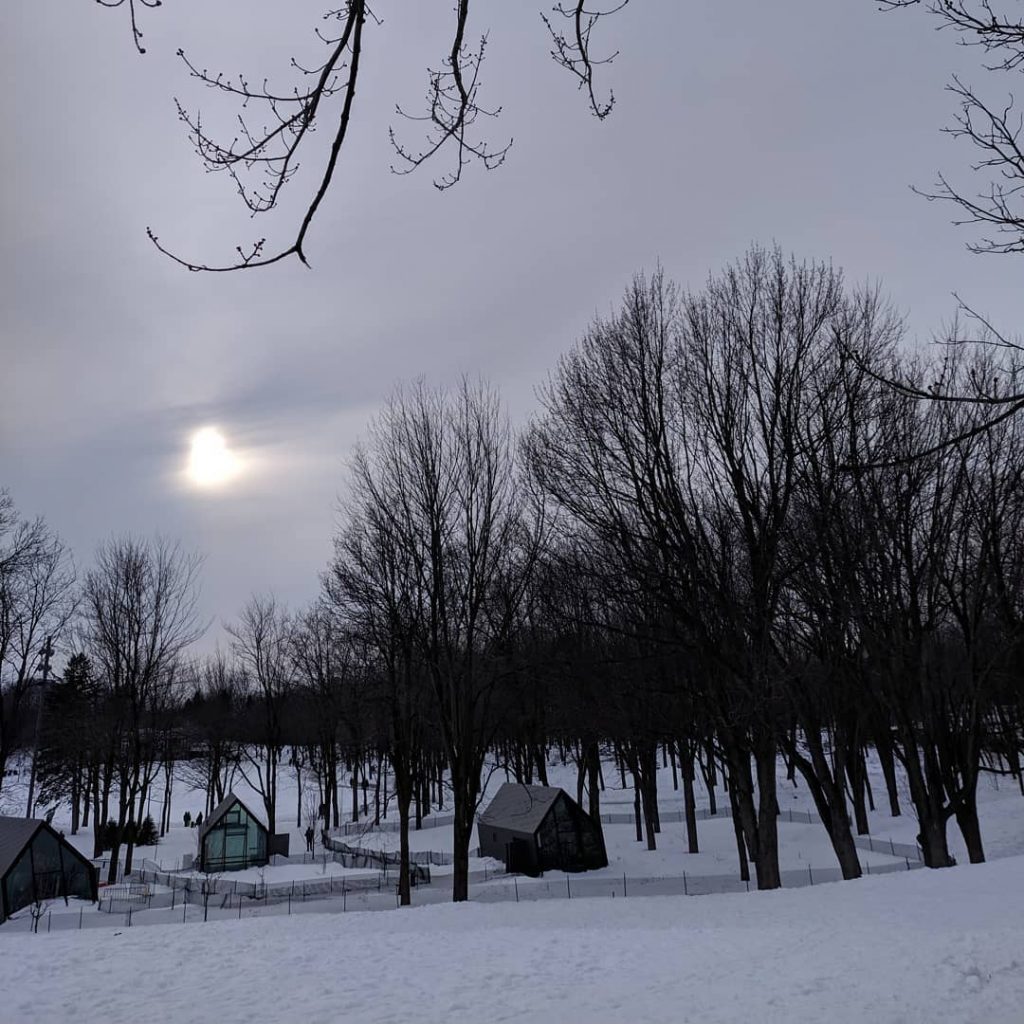 Winter Evening at Mont Royal! #montreal #montreality #montrealmoments #montreal_gallery #montrealcanada #canada #canada???????? #canada #winter…