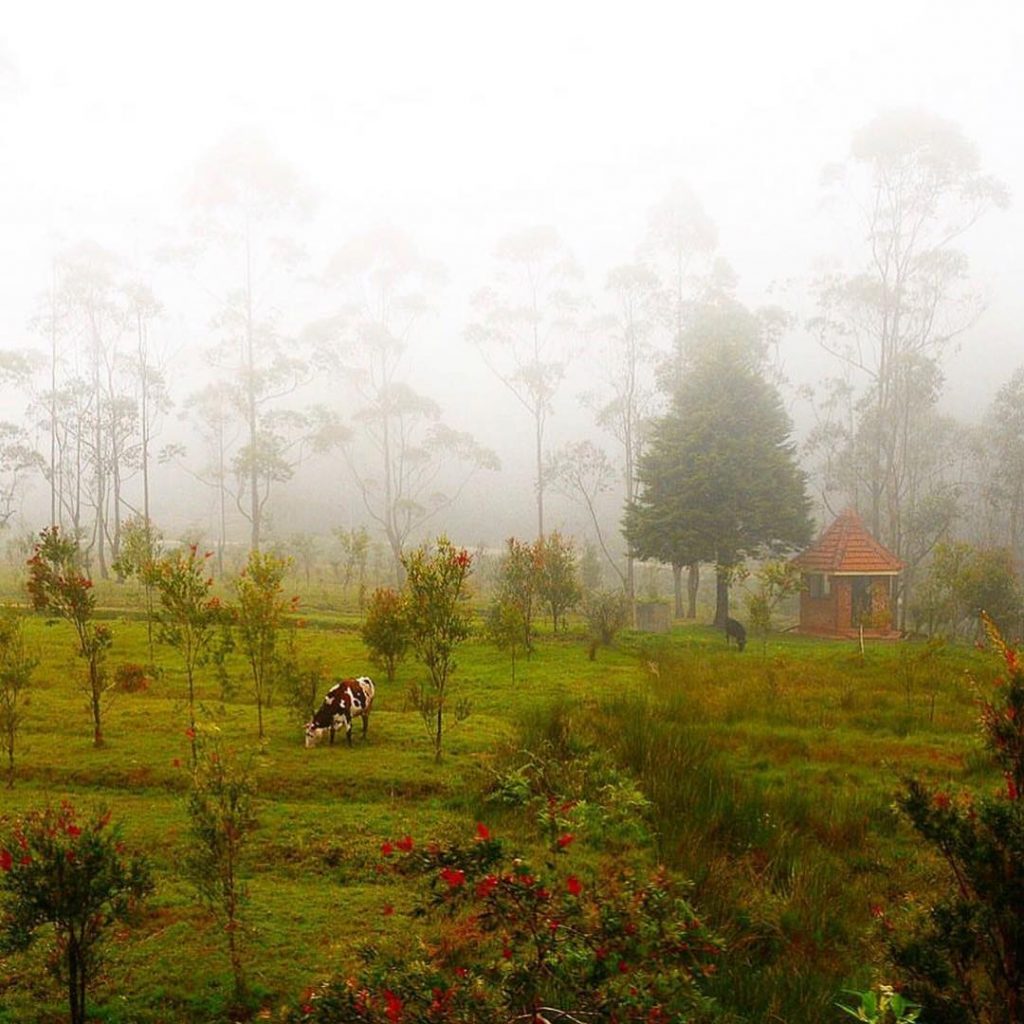 Поездка на поезде из самого высокогорного города Канди на Шри-ланке будет самой незабываемой. Чайные&hellip;