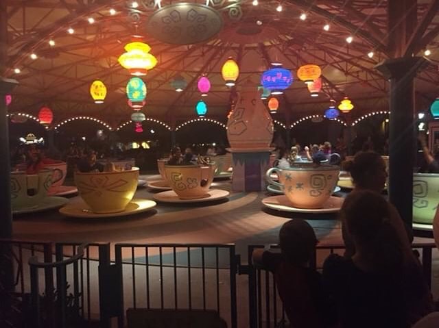 I love how pretty the Tea Cups look at night️ What are some Magic&hellip;
