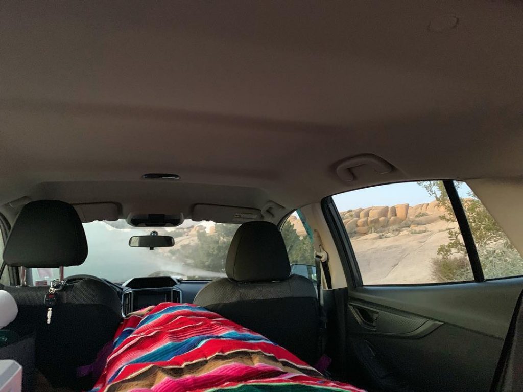 Proudly reached true bum status in Joshua Tree. All I had to do was&hellip;