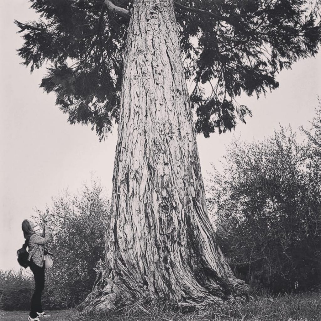 #fotartplgz #bnesimppl #traveldestinations_ig Edited with: @carbonblackandwhite _ #blancinegre #monochrome #bw_lover #byn #blancoynegro #irox_bw #art&hellip;