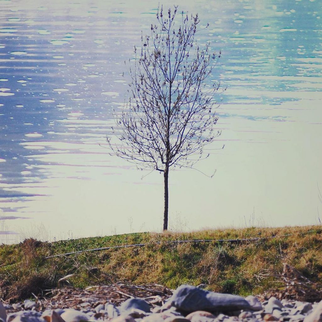 Como cuando jugábamos a arrojar piedras y malas vibraciones dentro de aquel pozo profundo&hellip;