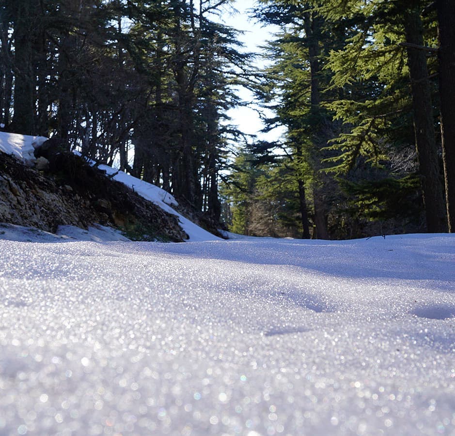Climbing up the mountains above Demre towards Finike, I encountered some of the season’s&hellip;