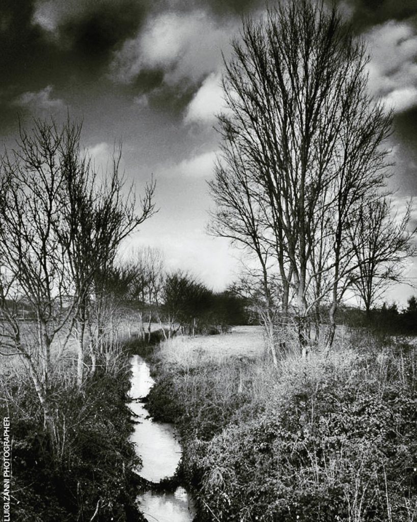 #fotartplgz #traveldestinations_ig #bnesimppl Edited with: @carbonblackandwhite _ #landscape #amazing #view #trip #tree #sky #mountains&hellip;