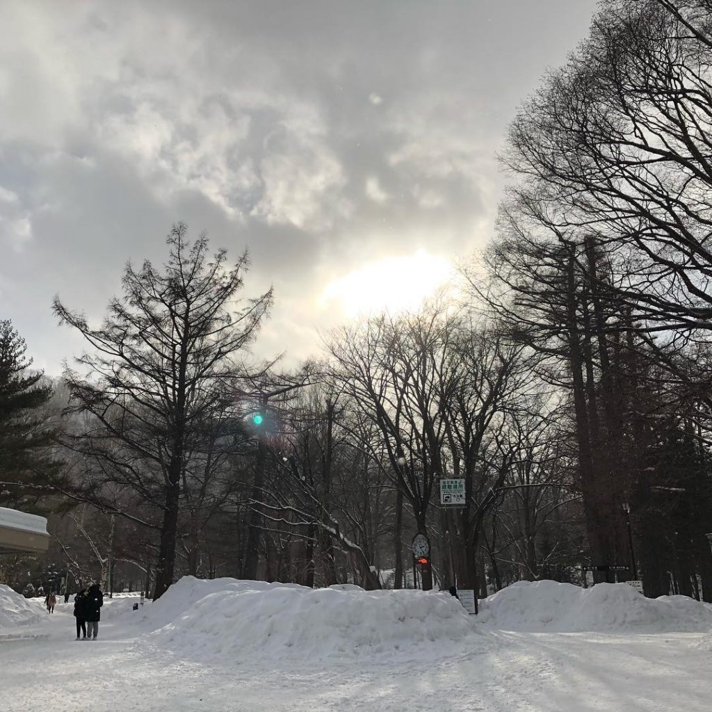 Walking through Maruyama Park to visit Hokkaido Shrine during winter was amazing! It was&hellip;