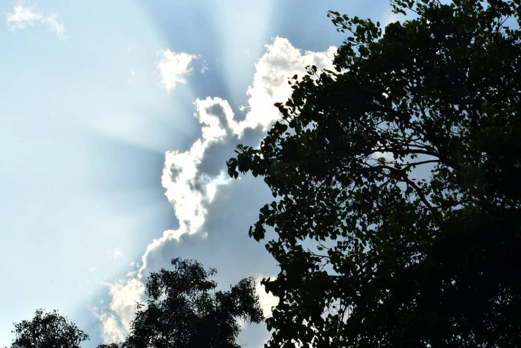 When the clouds are trying to get us sun ain’t givin up easily .&hellip;