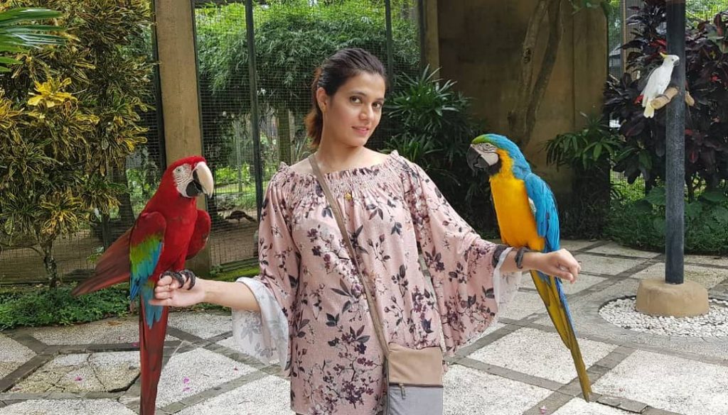 The amazing colours and beauty of these beautiful birds! PS – The red one…